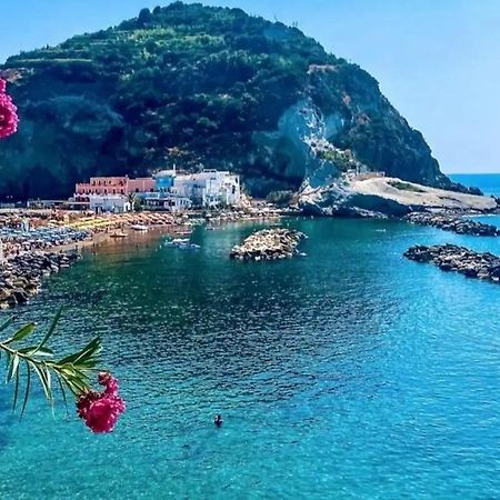 Mare Nostrum - Beachfront House - Sant'Angelo Ischia エクステリア 写真