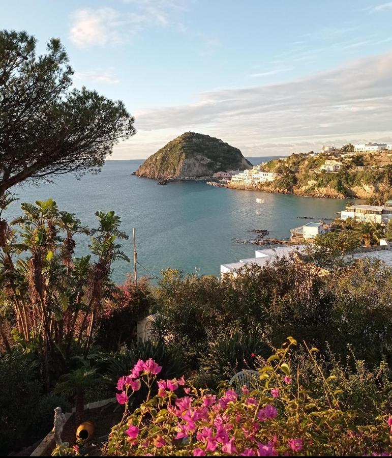 Mare Nostrum - Beachfront House - Sant'Angelo Ischia エクステリア 写真