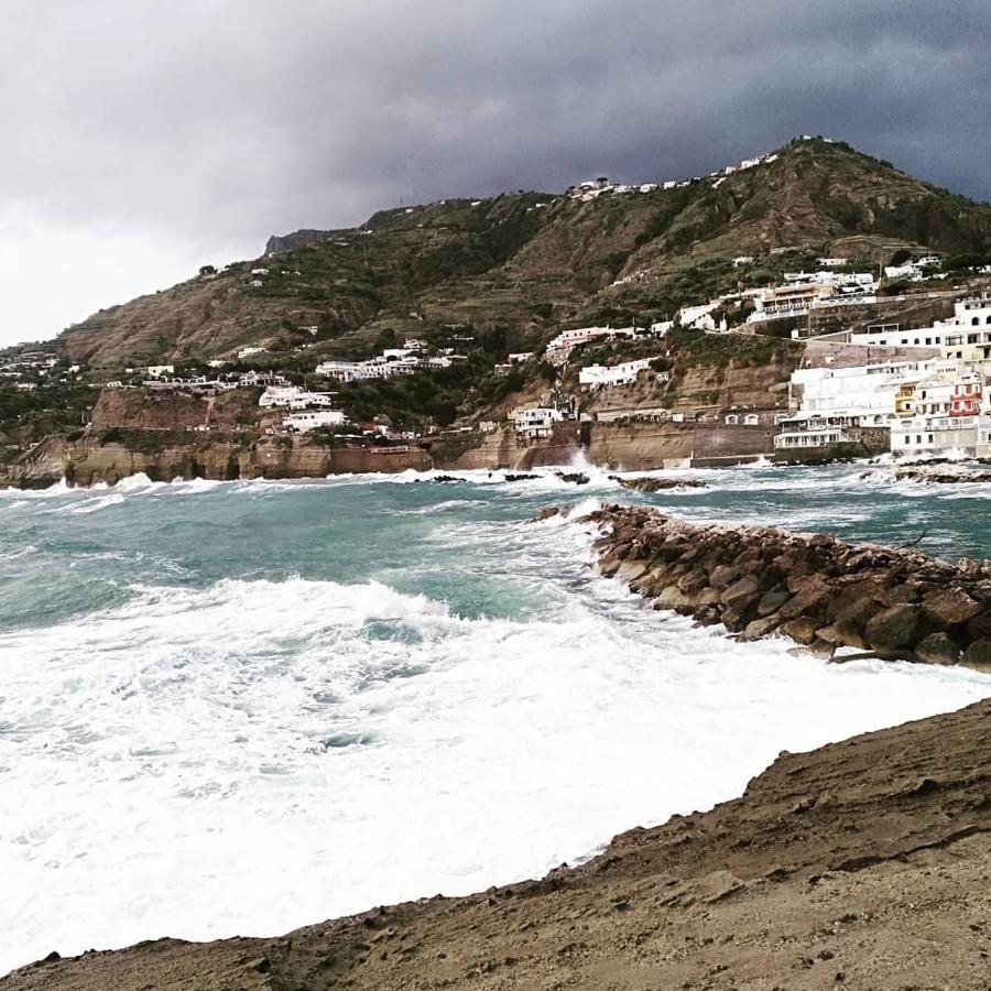 Mare Nostrum - Beachfront House - Sant'Angelo Ischia エクステリア 写真