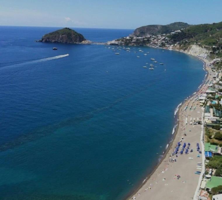 Mare Nostrum - Beachfront House - Sant'Angelo Ischia エクステリア 写真