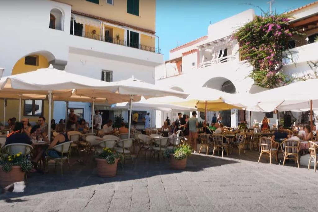 Mare Nostrum - Beachfront House - Sant'Angelo Ischia エクステリア 写真