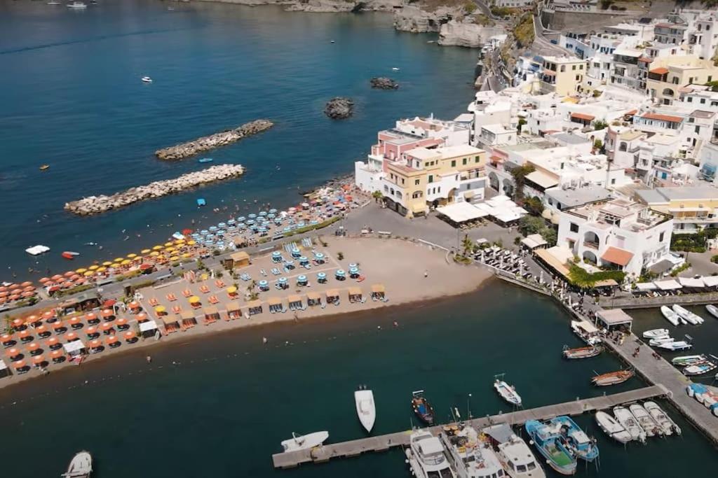 Mare Nostrum - Beachfront House - Sant'Angelo Ischia エクステリア 写真