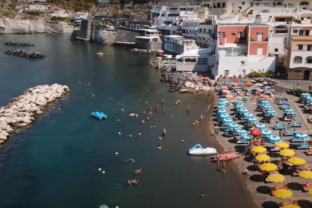 Mare Nostrum - Beachfront House - Sant'Angelo Ischia エクステリア 写真