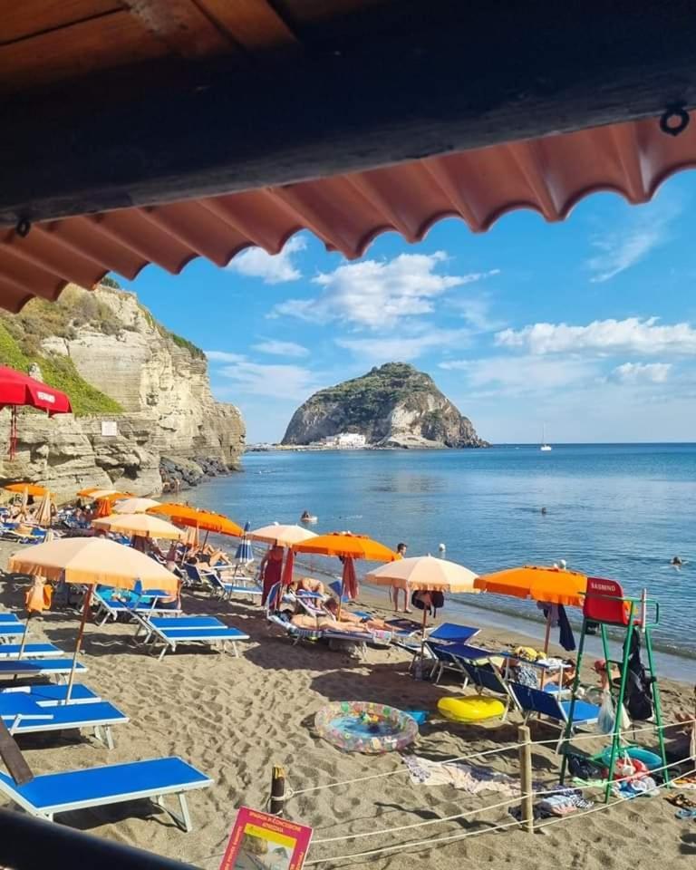 Mare Nostrum - Beachfront House - Sant'Angelo Ischia エクステリア 写真
